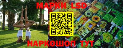 кокс Нягань