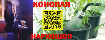 PSILOCYBIN Обнинск