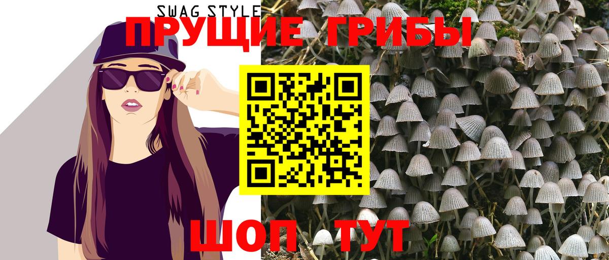 Галлюциногенные грибы мухоморы  Вход с VPN  где продают наркотики  Шадринск 