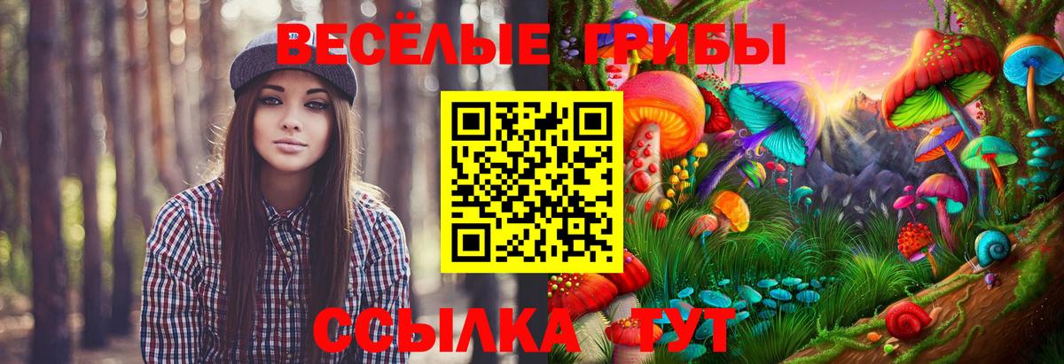 МЕФ кристаллы  Шадринск  Лсд 25  Метадон  ГАШИШ  Вход с VPN  Каннабис  КОКАИН 