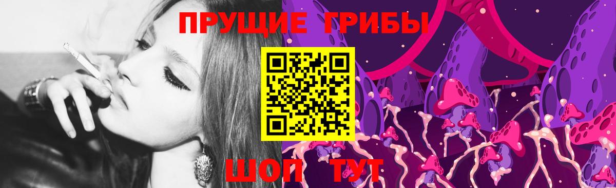 Псилоцибиновые грибы Psilocybine cubensis Шадринск